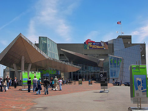 New England Aquarium Ansicht von Citysam  von Boston 